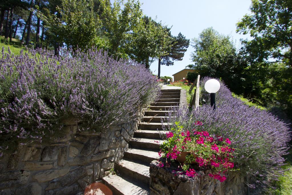 Antico Borgo I Cancelli Palazzuolo Sul Senio Εξωτερικό φωτογραφία